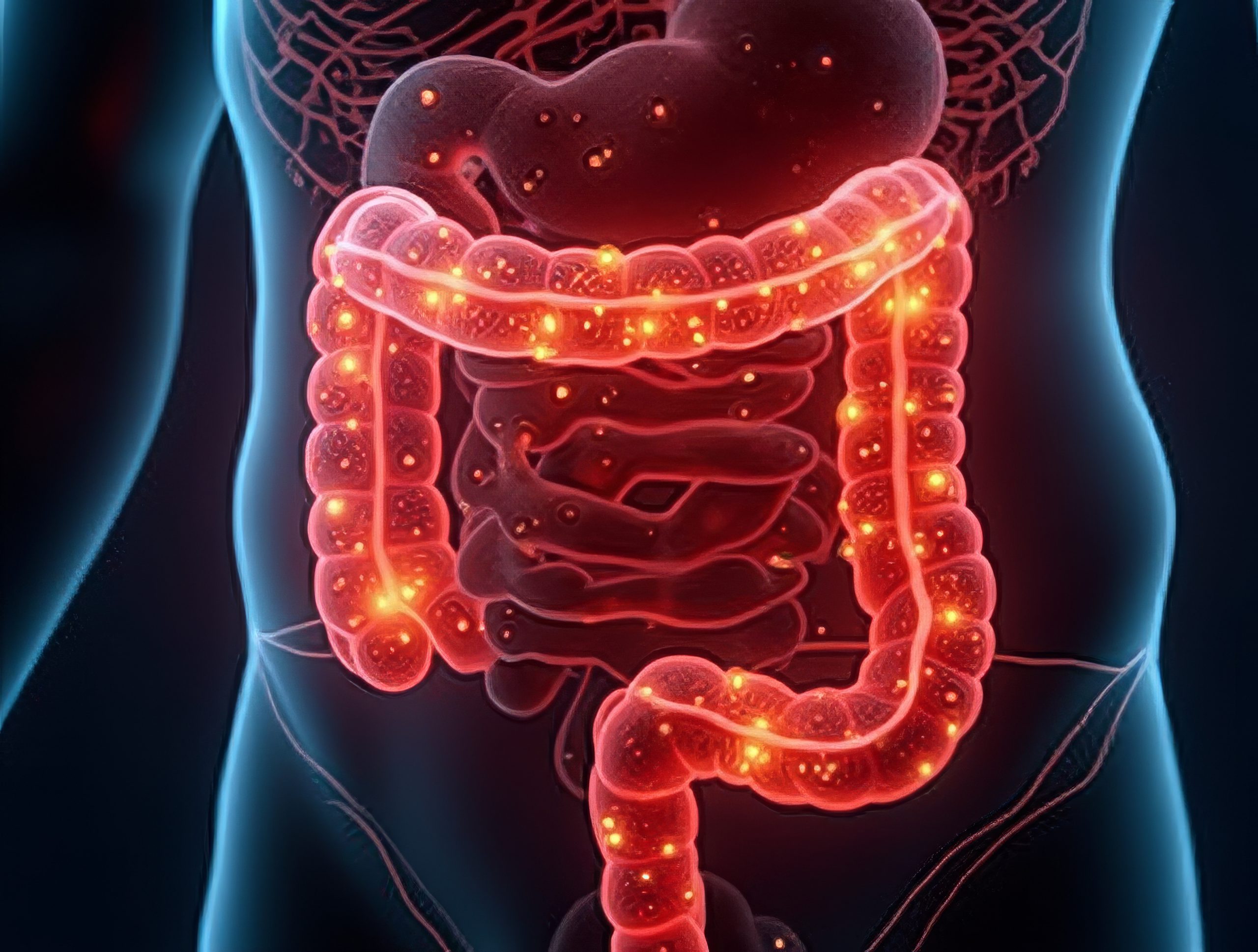 🔥 Darmgesundheit und Entzündungen – Die unterschätzte Ursache chronischer Beschwerden 🦠