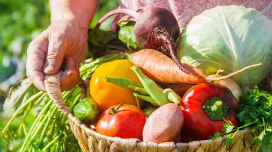 Frisches Obst und Gemüse in einem Korb, direkt vom Feld geerntet – voller natürlicher Nährstoffe und frei von Plastikverpackungen.