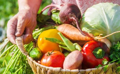 Frisches Obst und Gemüse in einem Korb, direkt vom Feld geerntet – voller natürlicher Nährstoffe und frei von Plastikverpackungen.