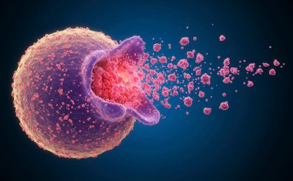 Mastzelle setzt Histamin frei – Darstellung der Histaminfreisetzung aus Immunzellen bei Entzündungsreaktionen